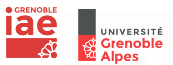 15th Annual Conference of the French Phonology Network. Grenoble (Francia)