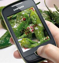 Un estudo certifica o potencial da publicidade en lingua galega