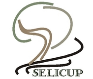 Las humanidades ante los retos de la nueva Europa: culturas, lenguas, identidades. Alcudia