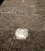 Román Rodríguez anuncia que xa é posible acreditar en galego a peregrinación a Compostela