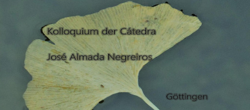 Tradução e criação: práticas, reflexões e perspetivas. En liña