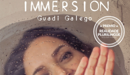 Immersion. Concierto de la cantante Guadi Galego. Madrid