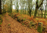 A Xunta renovará o web oficial de toponimia para a normalización, xeolocalización e difusión da toponimia galega