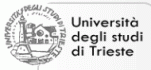 Emerging Topics in Translation and Interpreting. Trieste (Italia)