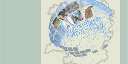 I Xornada de Patrimonio Inmaterial. Vilalba