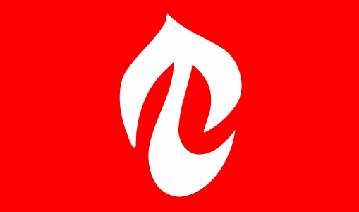 Una asociación a favor de la lengua galesa quiere lanzar una campaña para incrementar la presencia del galés en internet