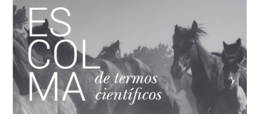 La Universidad de Vigo presenta un glosario de términos científicos en gallego