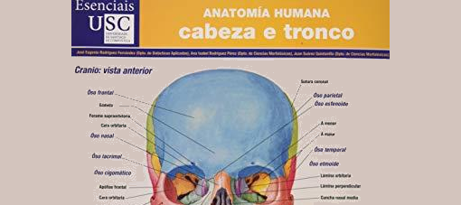La Universidad de Santiago presenta Esenciais, una herramienta para acercar el gallego a la docencia