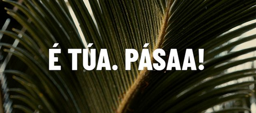 A plataforma Alingua pon en marcha unha campaña para promover o uso do galego