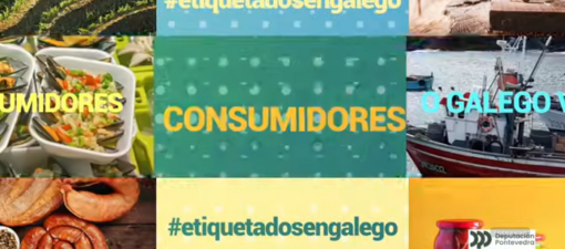 Unha nova guía propón medidas para incrementar o uso do galego nas empresas