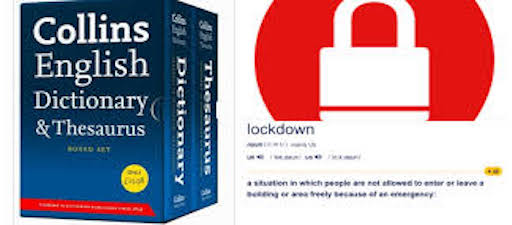 O dicionario Collins escolle 