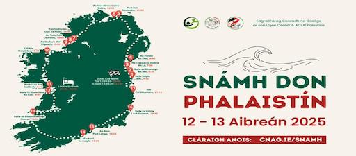 Activistas en prol do gaélico irlandés participan nun reto de natación por Palestina