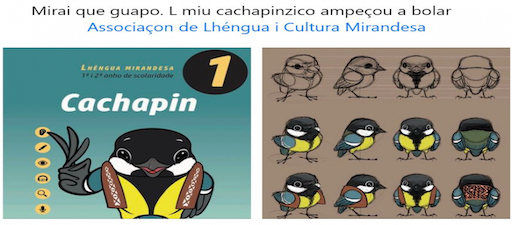 Publican el primer manual escolar para la enseñanza del mirandés