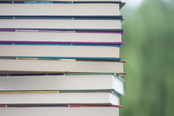 La Real Academia de la Lengua Vasca edita un diccionario histórico-etimológico para conocer el origen del euskera