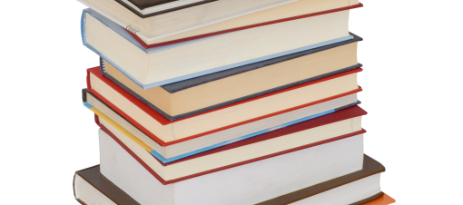 O Goberno vasco destinará 515 000 euros ás publicacións en éuscaro