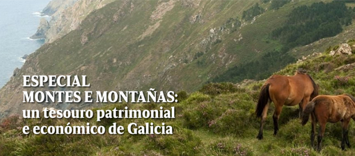 El espacio web Proxector ofrece una selección de audiovisuales en gallego sobre la riqueza de los montes de Galicia