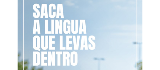 La Xunta ofrecerá más de cien cursos de lengua y cultura gallegas a personas no nacidas en Galicia en su Plan de dinamización del gallego de cara a 2025