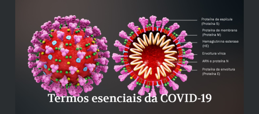 A Universidade de Santiago de Compostela presenta unha listaxe de termos esenciais da covid-19