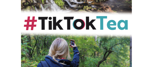 O Concello de Ponteareas organiza un certame en TikTok para fomentar o uso do galego entre a mocidade